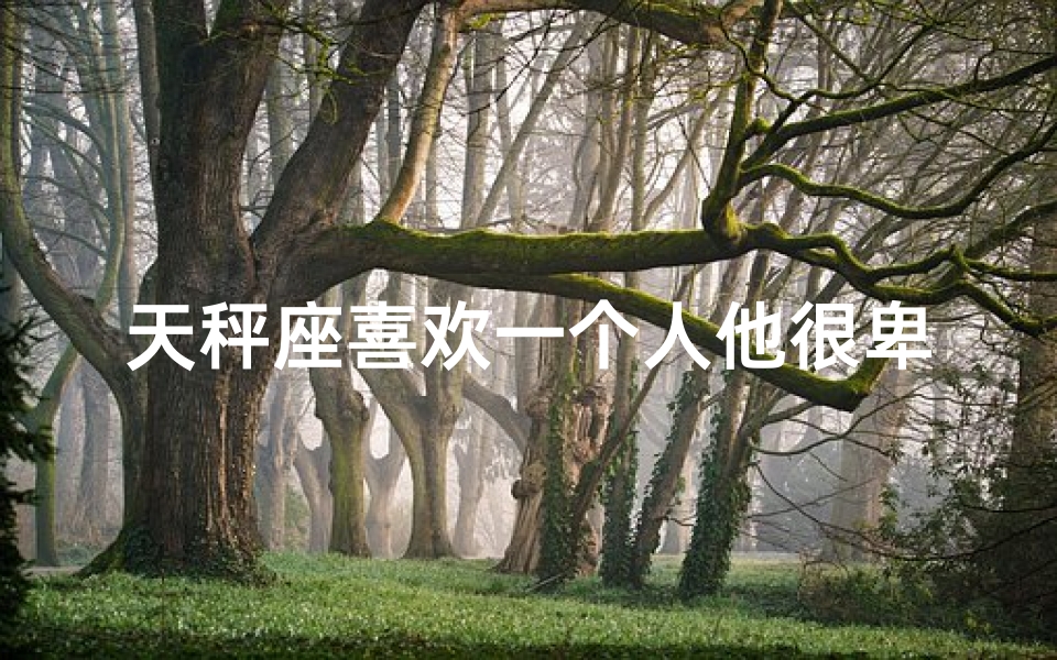 天秤座喜欢一个人他很卑微吗