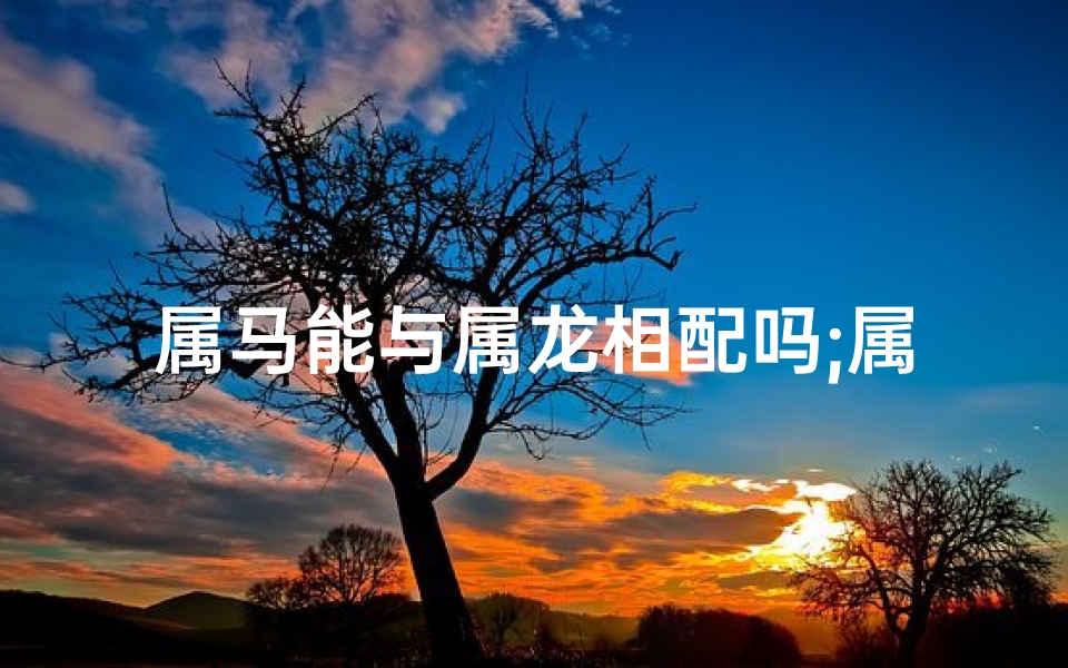 属马能与属龙相配吗;属马配龙婚姻化解之道