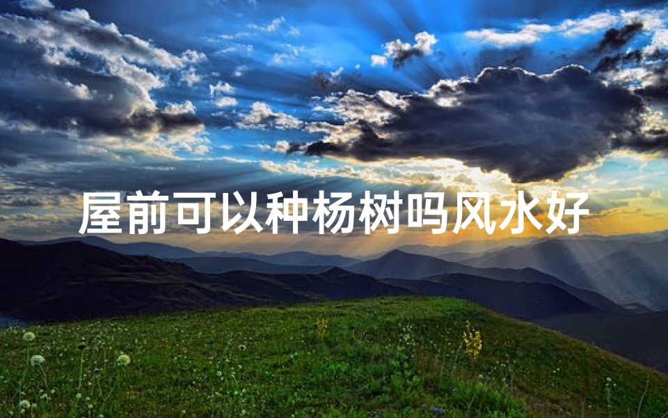 屋前可以种杨树吗风水好吗—屋前种杨树风水解析：适宜与否？