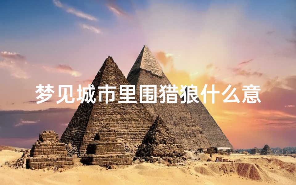 梦见城市里围猎狼什么意思;梦见城市里围猎狼什么意思周公解梦