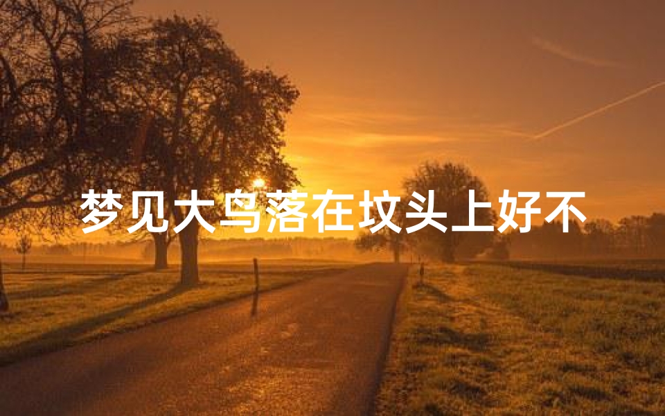 梦见大鸟落在坟头上好不好、梦见大鸟落在坟头上好不好呢