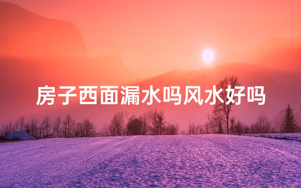 房子西面漏水吗风水好吗