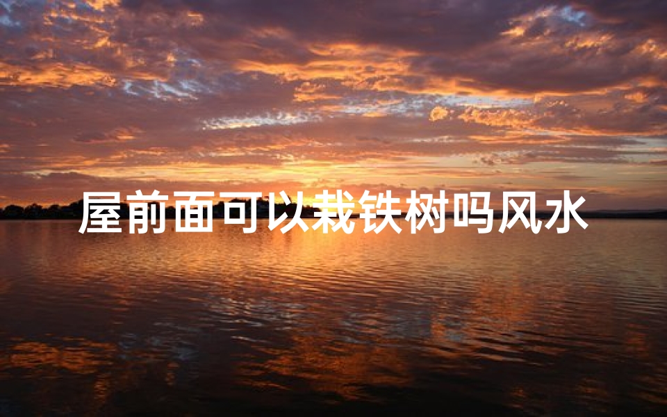 屋前面可以栽铁树吗风水