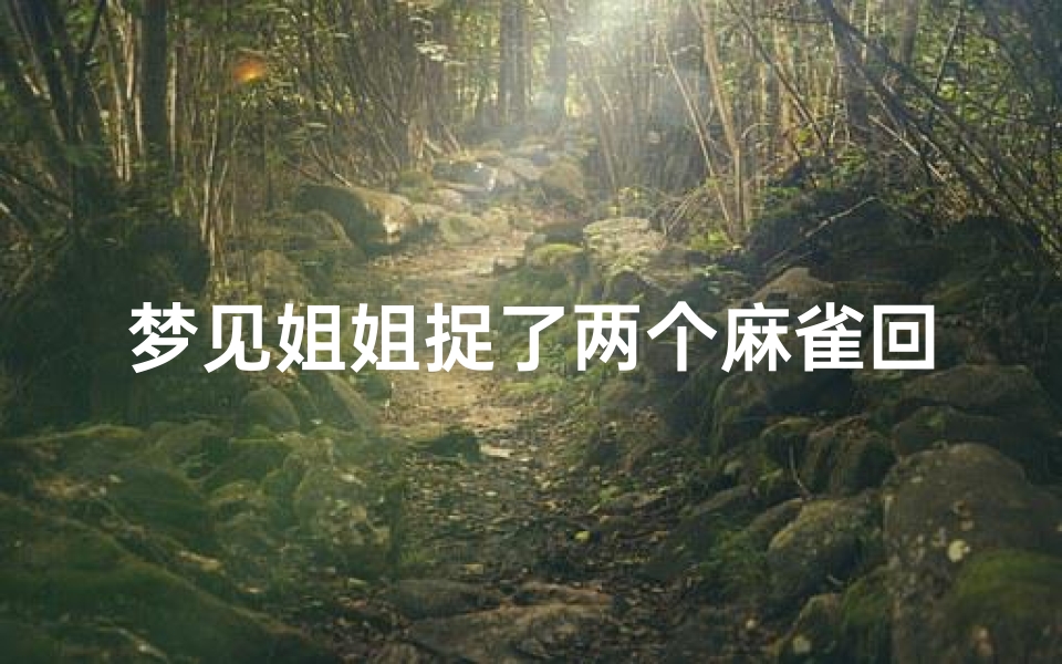 梦见姐姐捉了两个麻雀回家(梦见抓到二只麻雀)