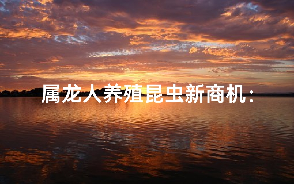 属龙人养殖昆虫新商机：昆虫养殖引领绿色潮流