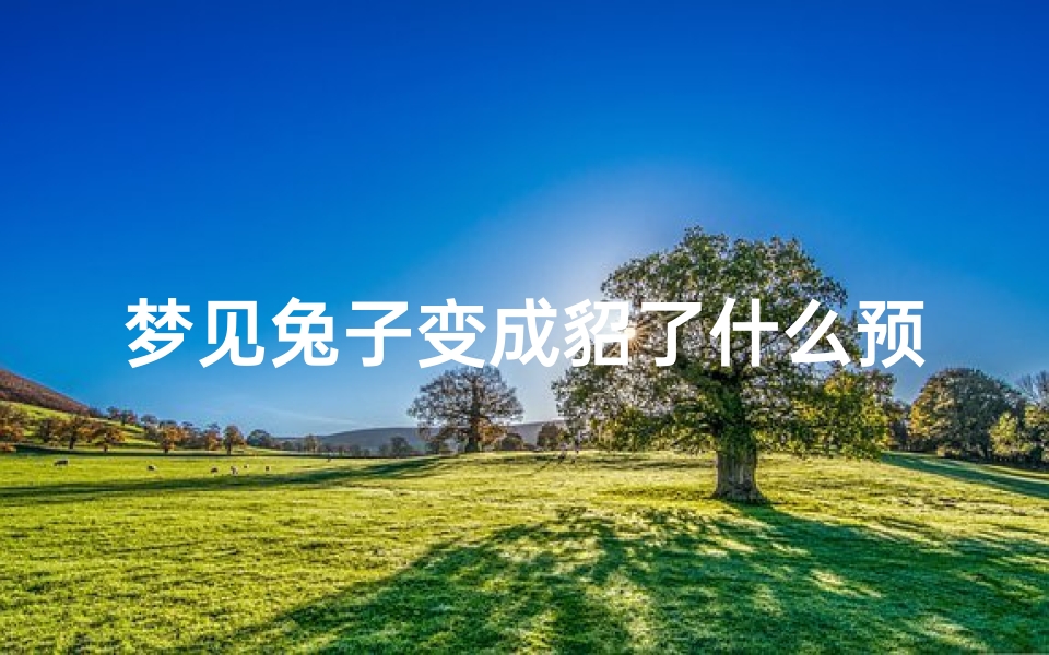梦见兔子变成貂了什么预兆-梦见兔子变美女是啥意思