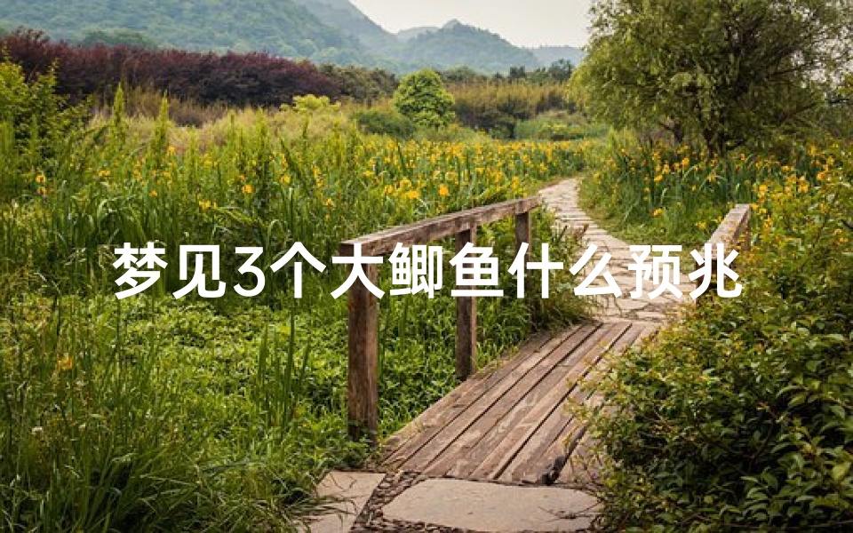梦见3个大鲫鱼什么预兆(梦见三个大鱼是什么意思)