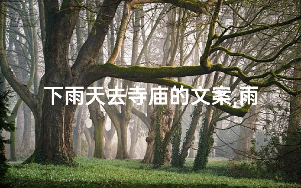 下雨天去寺庙的文案,雨中禅意，寺庙静赏之旅