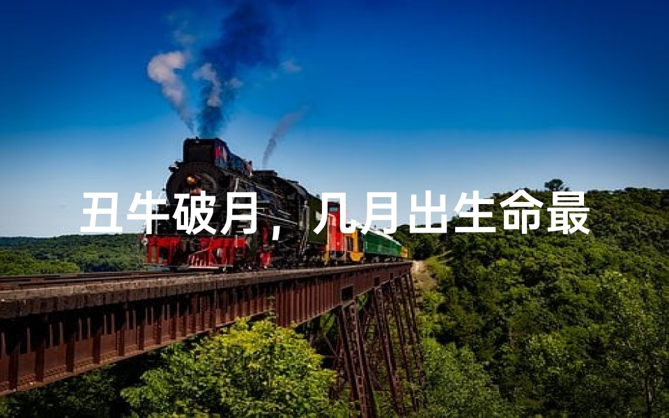 丑牛破月，几月出生命最好？揭秘运势巅峰