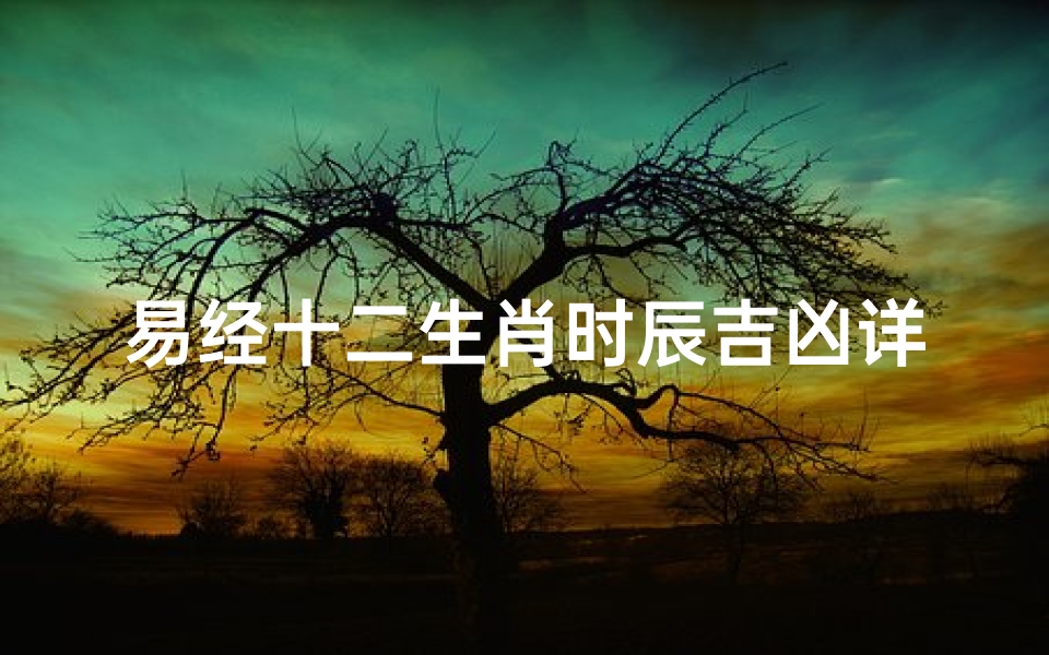 易经十二生肖时辰吉凶详解—《易经揭秘：十二生肖时辰吉凶详析》
