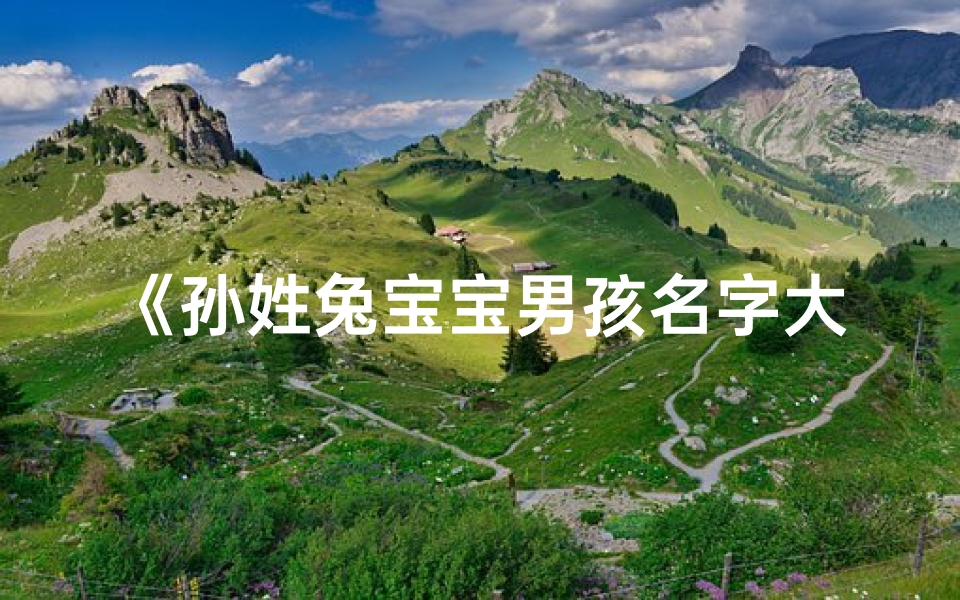 《孙姓兔宝宝男孩名字大全：寓意吉祥，智慧成长》