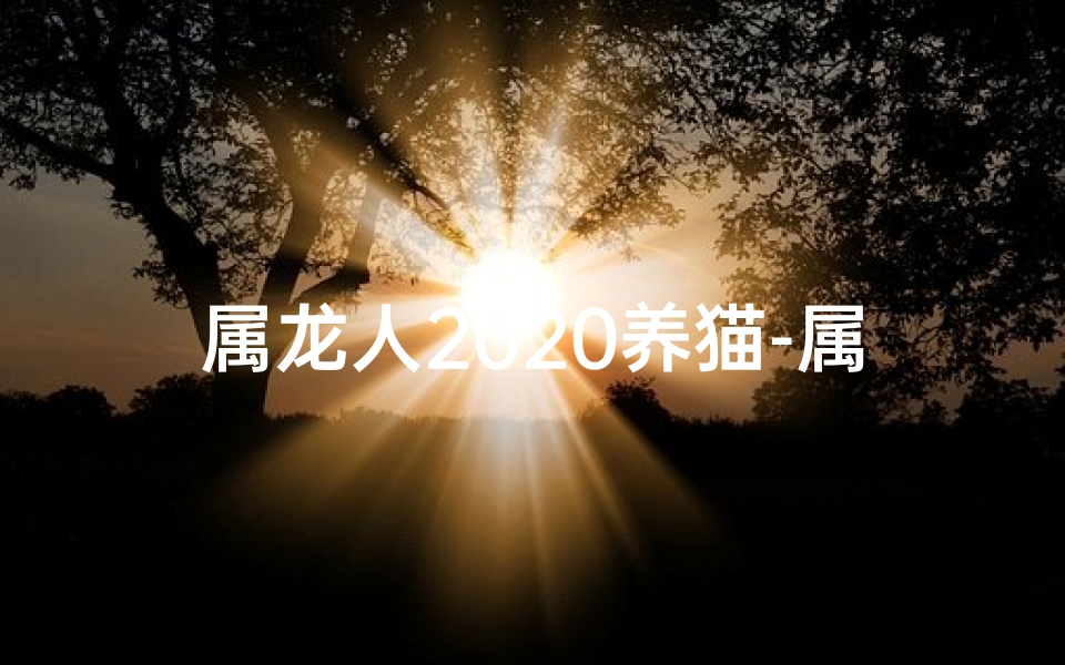 属龙人2020养猫-属龙人2020养猫指南：龙年猫咪相伴幸福时光