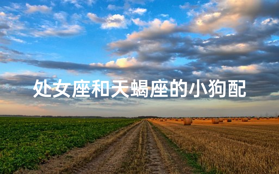 处女座和天蝎座的小狗配吗,处女座的人和天蝎座的人能成为夫妻吗