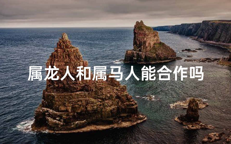 属龙人和属马人能合作吗