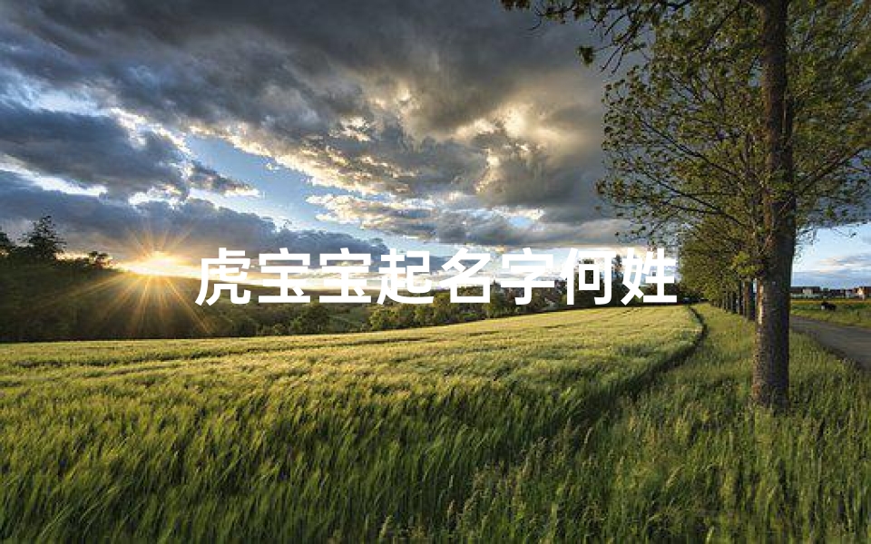 虎宝宝起名字何姓