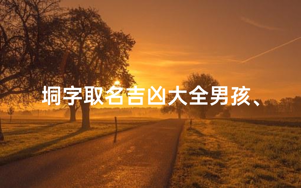 垌字取名吉凶大全男孩、垌字适合起名字吗