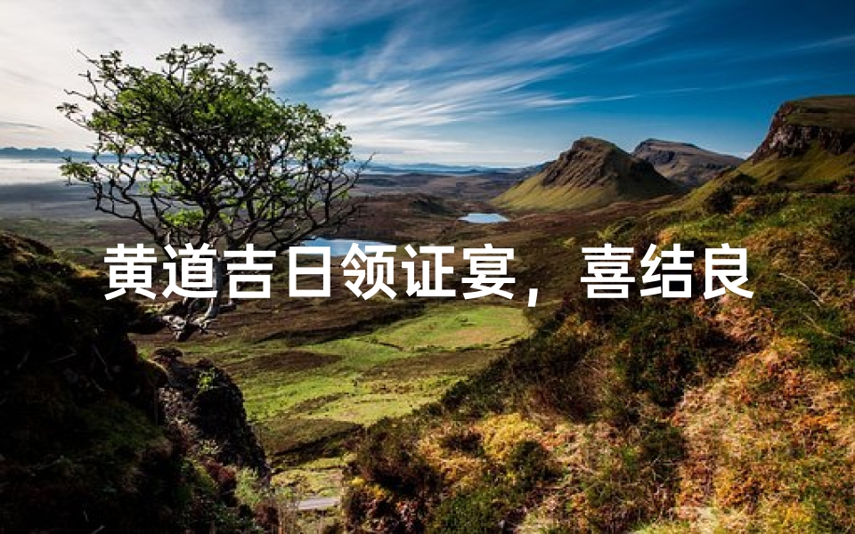 黄道吉日领证宴，喜结良缘庆团圆
