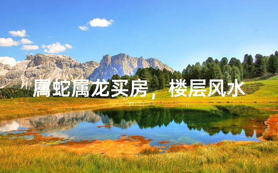 属蛇属龙买房，楼层风水揭秘