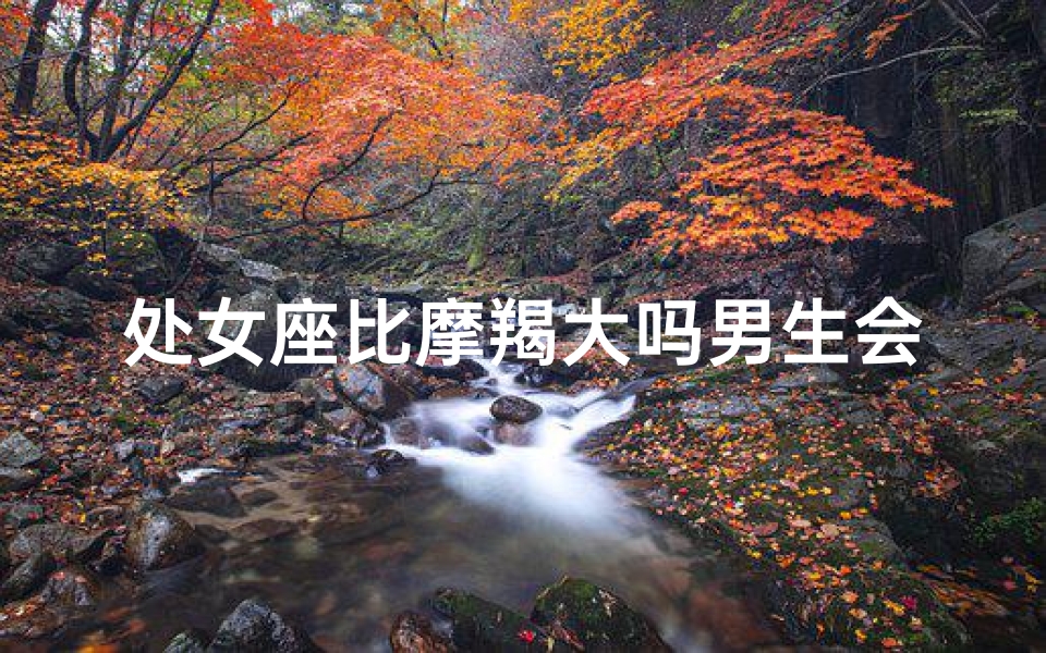 处女座比摩羯大吗男生会喜欢吗,处女座比摩羯大，男生会喜欢吗？揭秘星座间恋爱奥秘