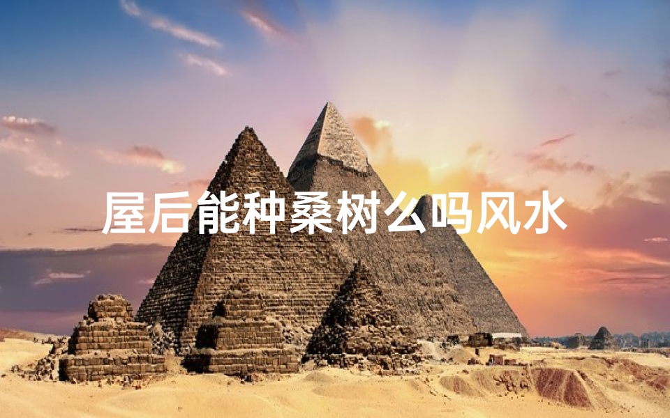 屋后能种桑树么吗风水