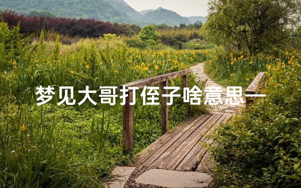 梦见大哥打侄子啥意思—梦见哥哥打侄子