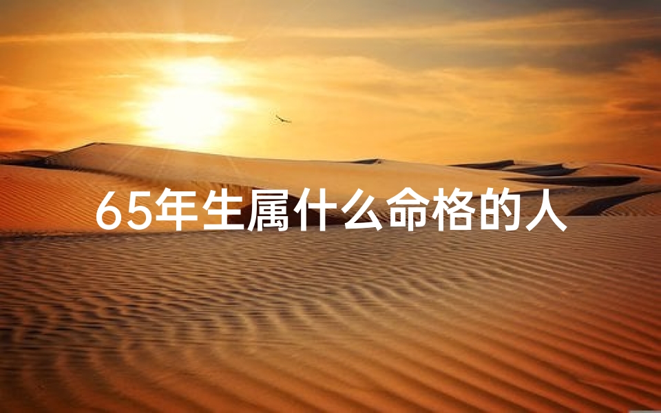 65年生属什么命格的人-65年生人啥命