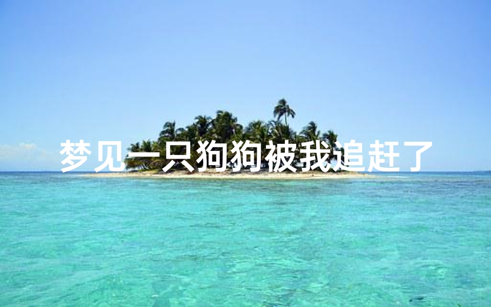 梦见一只狗狗被我追赶了,梦见一只狗狗被我追赶了什么预兆