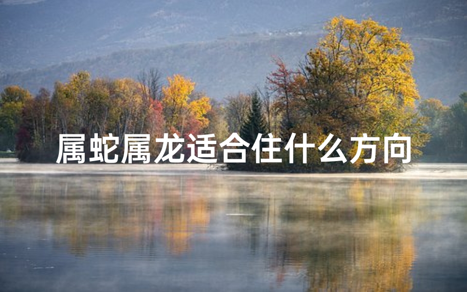 属蛇属龙适合住什么方向—属蛇属龙风水方位：最适合居住的吉向揭晓