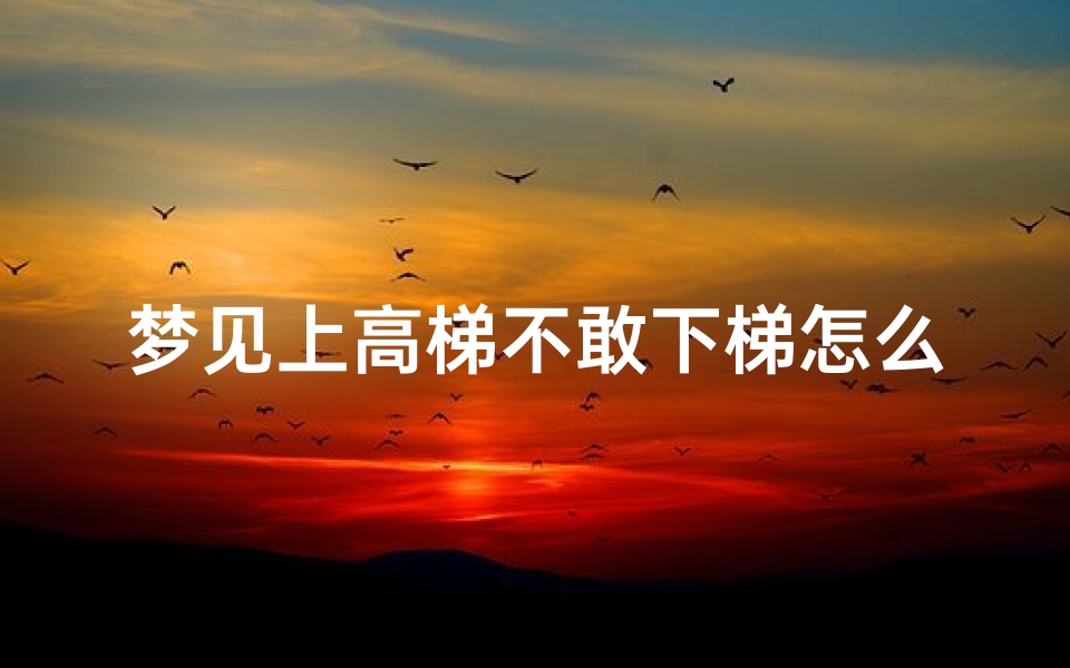梦见上高梯不敢下梯怎么回事(梦到上高梯)