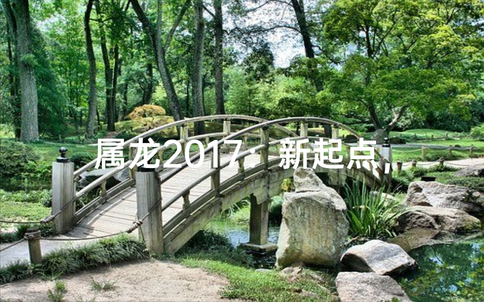 属龙2017：新起点，新方向，新征程