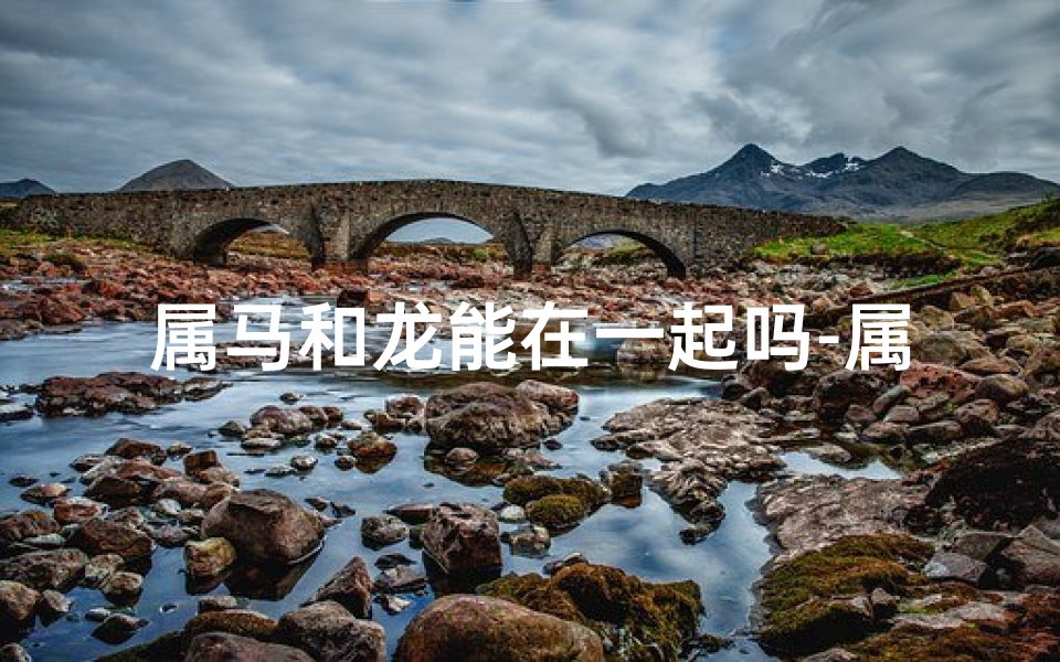 属马和龙能在一起吗-属马属龙能携手共进？合作前景分析
