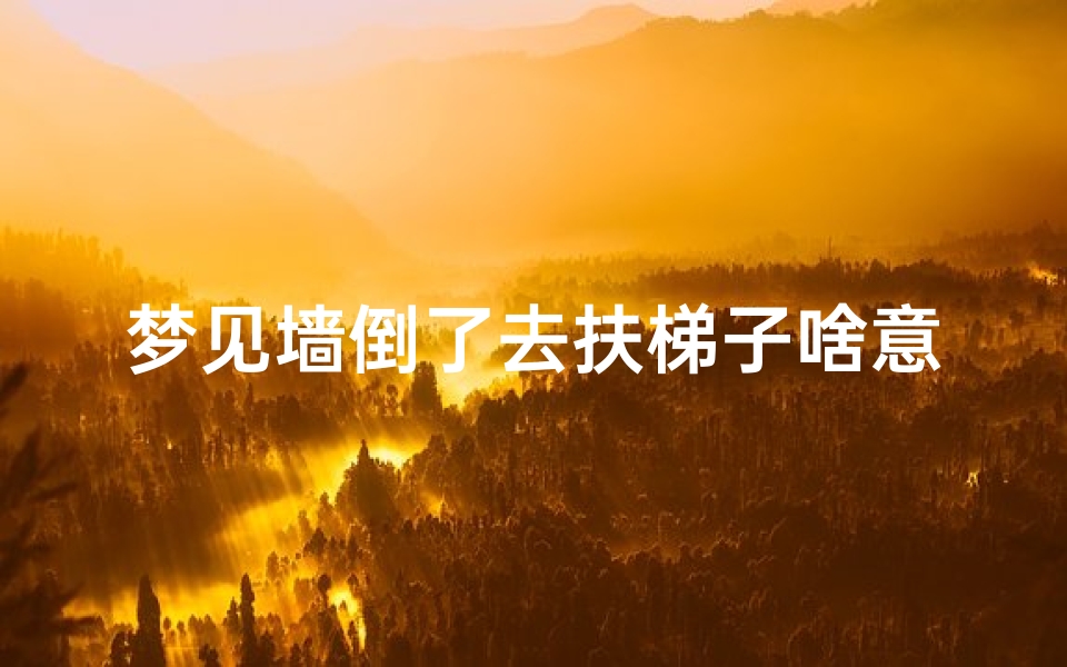 梦见墙倒了去扶梯子啥意思,梦见扶墙墙倒了周公解梦
