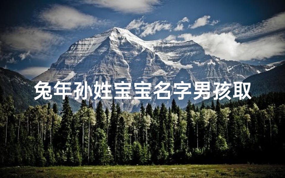 兔年孙姓宝宝名字男孩取名_姓孙属兔男孩起什么名好