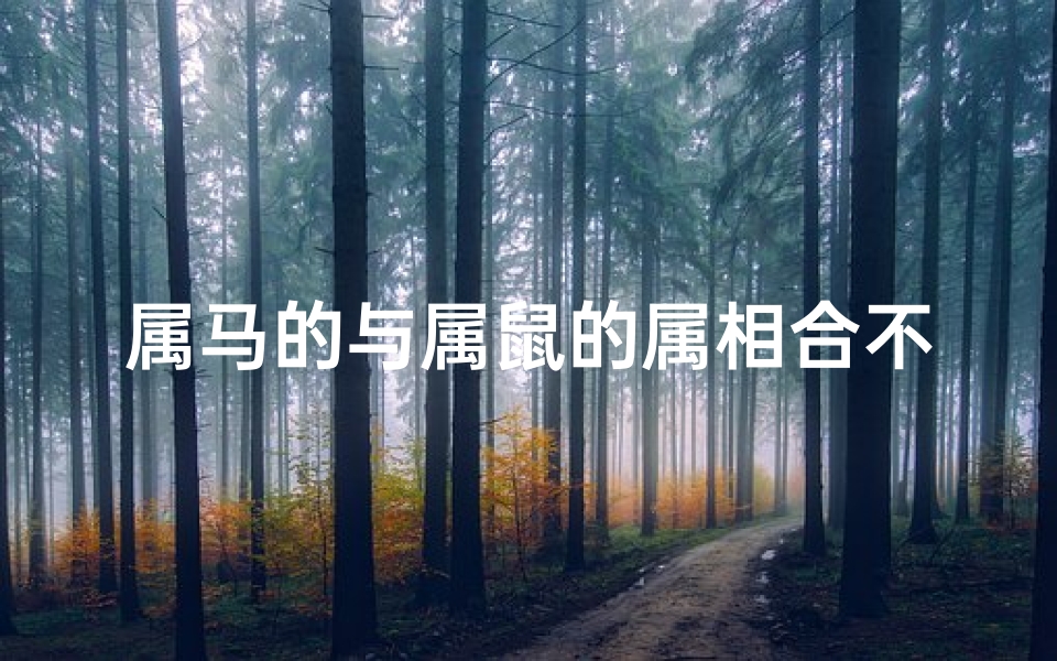 属马的与属鼠的属相合不_属马的与属鼠的合不合