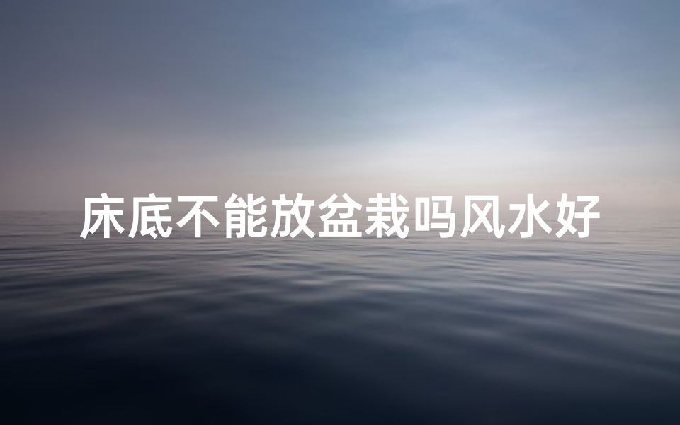床底不能放盆栽吗风水好吗