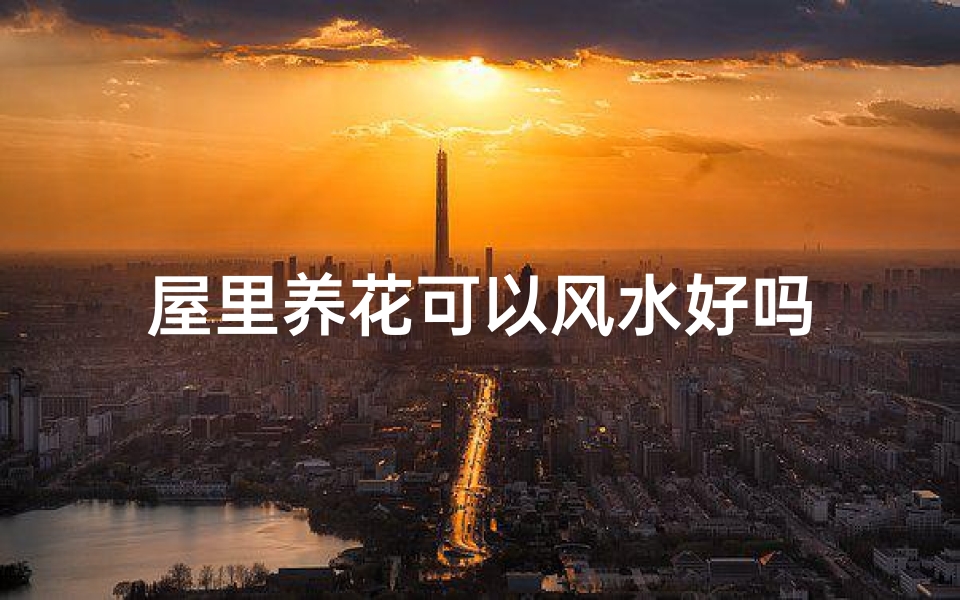 屋里养花可以风水好吗