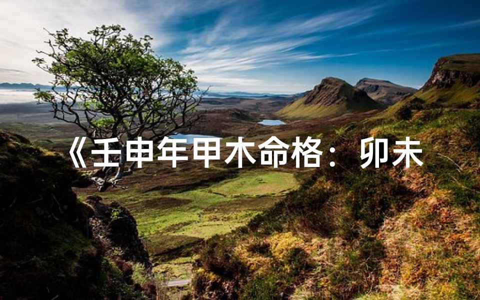 《壬申年甲木命格：卯未之年的运势解析》