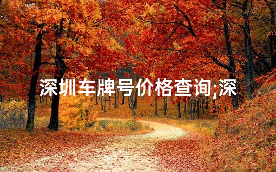 深圳车牌号价格查询;深圳车牌吉凶一测，车牌运势揭秘