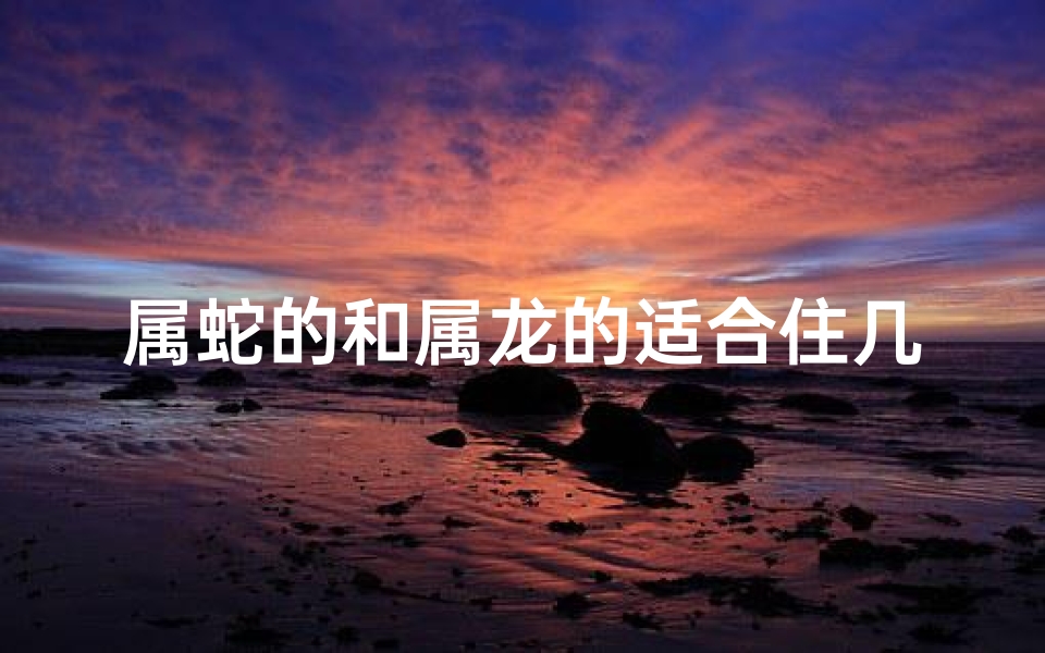 属蛇的和属龙的适合住几楼、属蛇和属龙买房子几楼最好