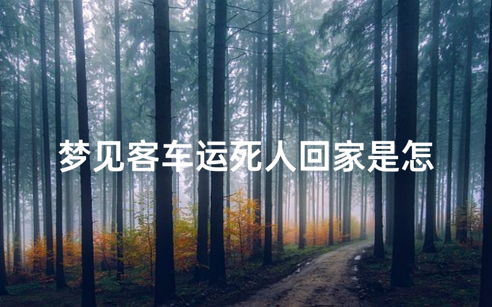 梦见客车运死人回家是怎么回事;梦见客车撞死人是什么意思
