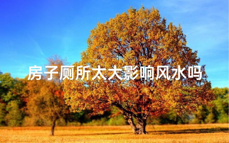 房子厕所太大影响风水吗