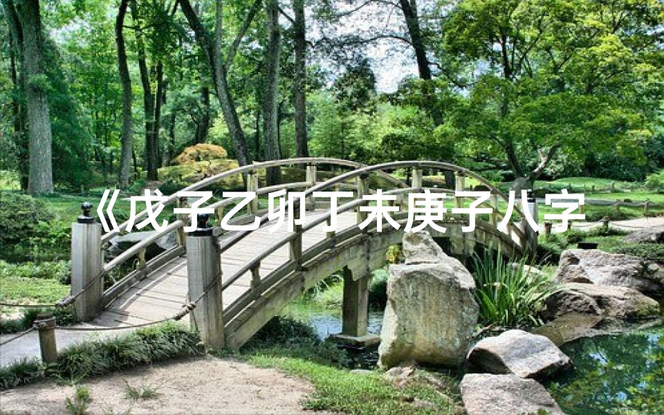 《戊子乙卯丁未庚子八字命理揭秘》
