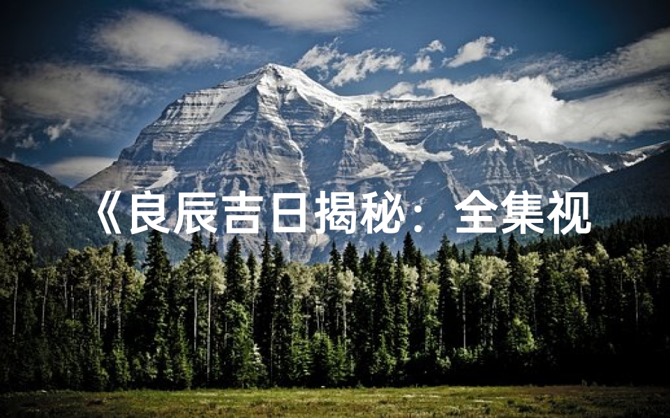 《良辰吉日揭秘：全集视频深度解析》