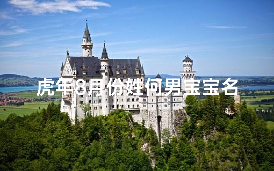 虎年8月份姓何男宝宝名字、何家虎年盛夏添新丁，吉祥宝宝取名何虎翔