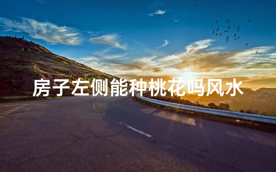 房子左侧能种桃花吗风水(房子左边种什么花好)