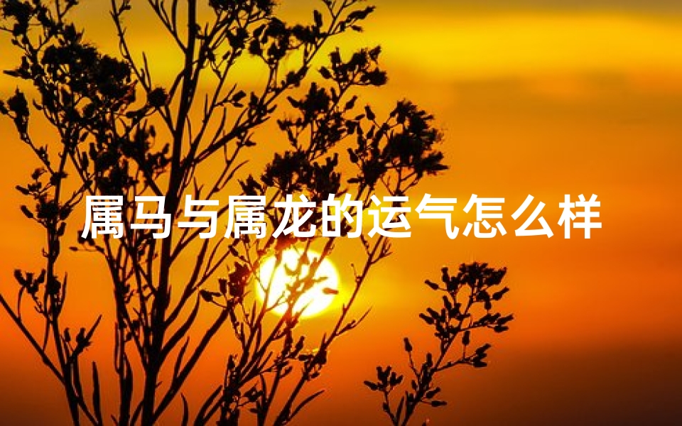 属马与属龙的运气怎么样—属马属龙今年运势如何？揭秘财运事业两旺秘诀