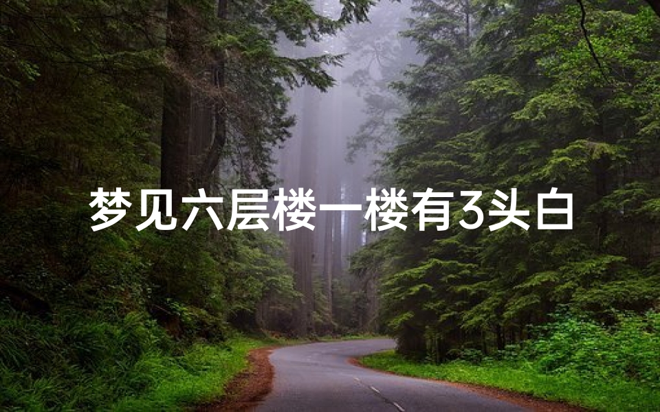 梦见六层楼一楼有3头白象,梦见一栋白色的楼