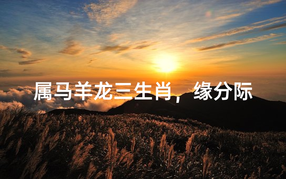 属马羊龙三生肖，缘分际会话人生