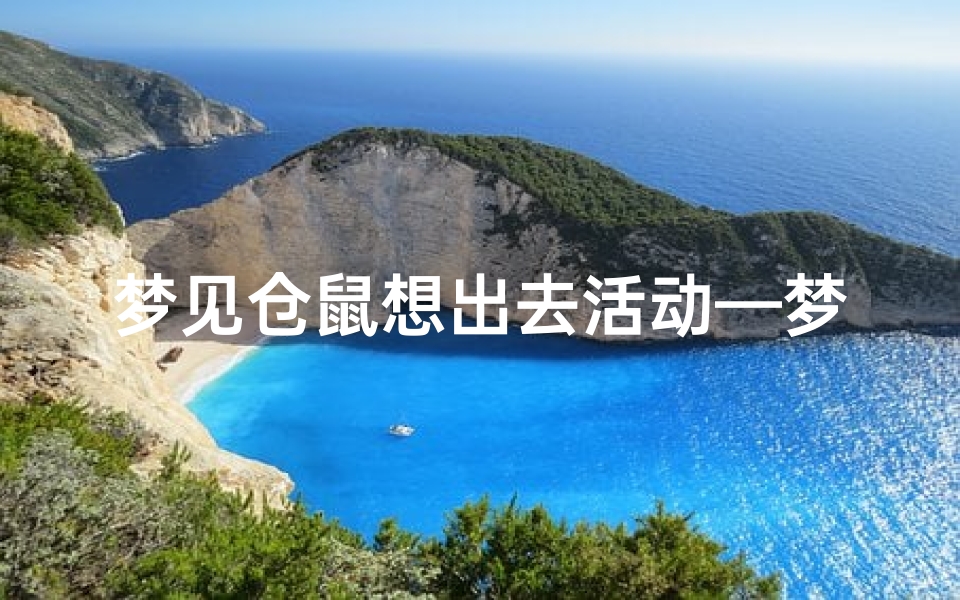 梦见仓鼠想出去活动—梦见仓鼠跑出笼子