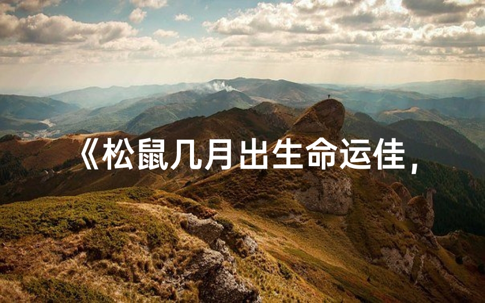 《松鼠几月出生命运佳，揭秘最佳诞生月份》